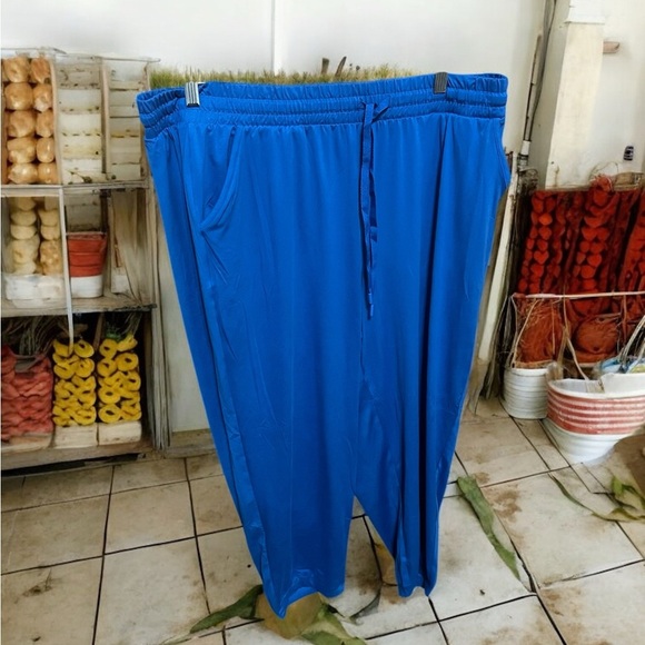 Torrid Blue Joggers Relaxed Fit Elastic Waistband - Picture 2 of 6